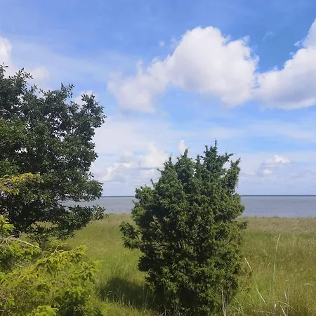 10 Person In Allingabro-by Traum *